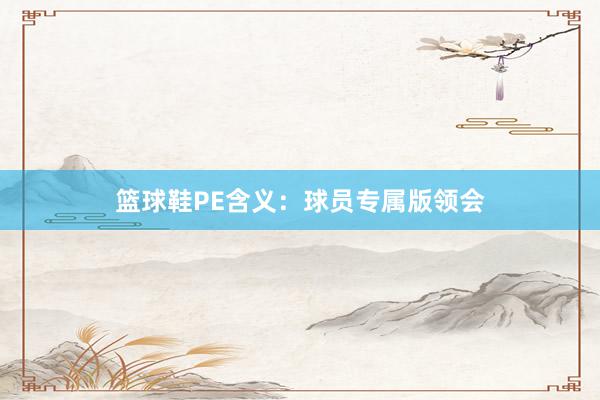 篮球鞋PE含义：球员专属版领会